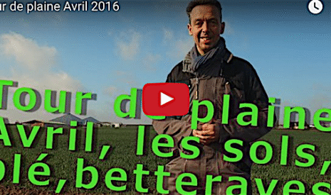 Tour de plaine d’avril 2016, d’abord la vérification de la structure du sol