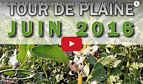 Dernier tour de plaine avant la moisson