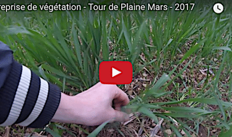 Tour de plaine de printemps en polyculture élevage