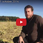 Comment je détermine mes interventions dans les cultures en novembre