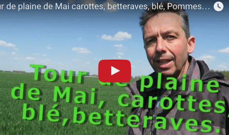 Tour de plaine, vidéo sur l’avancement des carottes, betteraves, blés, pommes de terre…