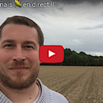 Colza, orge, blé, oignons, et maïs, 5 tours de plaine en 5 vidéos