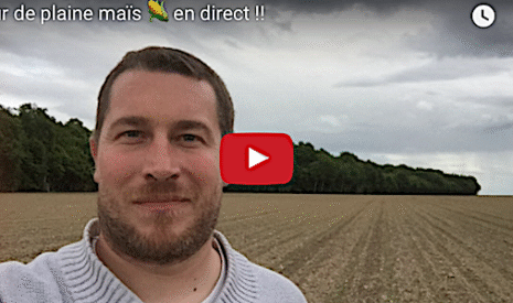 Colza, orge, blé, oignons, et maïs, 5 tours de plaine en 5 vidéos