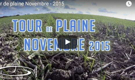 Comment blé, orge, colza, petits pois et féverole vont passer l’hiver