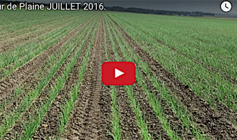 Tour de plaine juillet 2016
