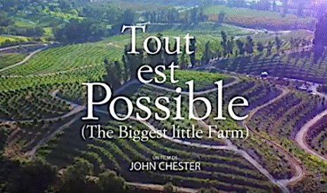 « Tout est possible », l’autre film agricole de la rentrée sur le grand écran