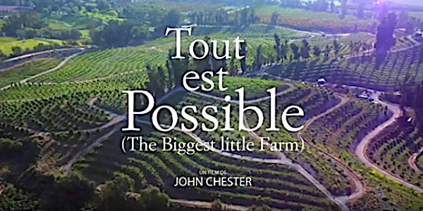 tout est possible the biggest little farm
