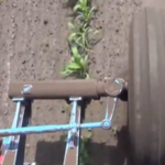 Le premier tracteur qui voit les cultures et se dirige seul entre les rangs