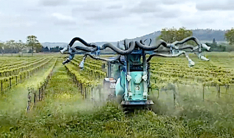Un traitement de la vigne bio généralisé à toute l’exploitation