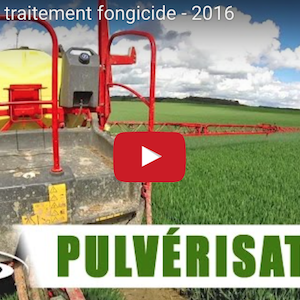 traitement fongicide