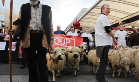 La transhumance ovine anti loup en plein salon de l’agriculture