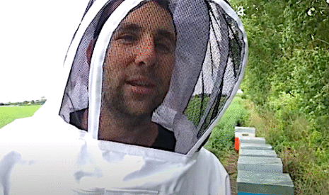 La transhumance des abeilles