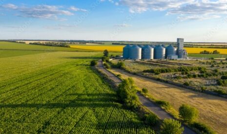 Exportations mondiales de blé : la Russie et l’Ukraine ont déjà réalisé un tiers de leurs objectifs de campagne