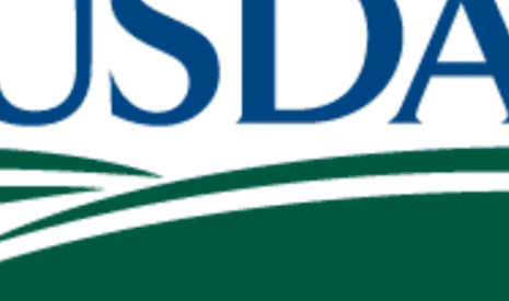 Un rapport USDA axé sur les estimations du bilan de maïs