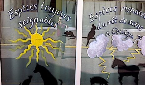 Dans l’Aude, des éleveurs s’alarment du départ de leur vétérinaire rural