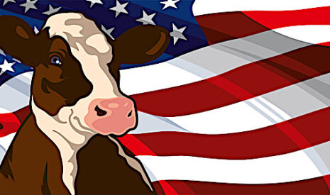 Aux Etats-Unis, la compétitivité du lait repose sur des charges de structure plus faibles