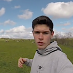 Remettre les vaches au pré, quelle préparation ?