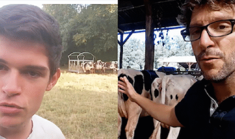 Vaches et canicule, ce sont les éleveurs qui en parlent le mieux