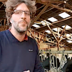 Les vaches laitières sont-elles maigres ?