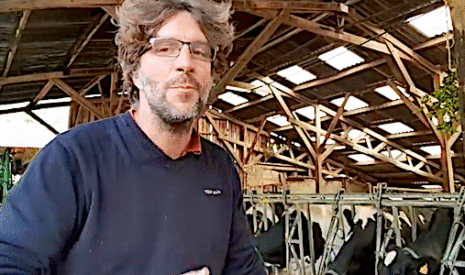Les vaches laitières sont-elles maigres ?
