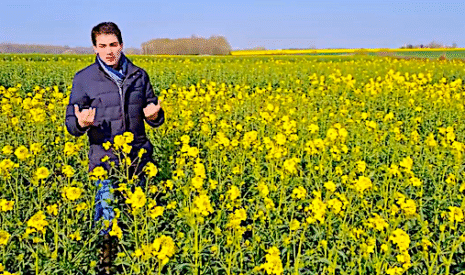 Variétés de colza 2020, quatre vidéos pour tout connaitre