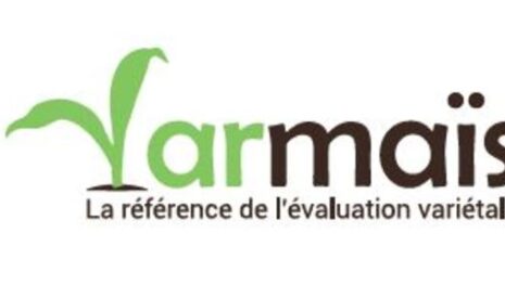 Les premiers résultats des variétés de maïs du réseau d’essais de post-inscription 2021 arrivent sur Varmaïs