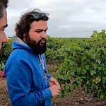 Des vendanges à Bourgueil vues par un céréalier