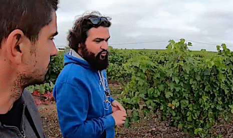 Des vendanges à Bourgueil vues par un céréalier