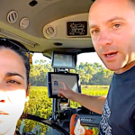 Vendanges de sauvignon blanc dans l’Hérault