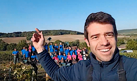 En Champagne, la tradition des vendanges manuelles