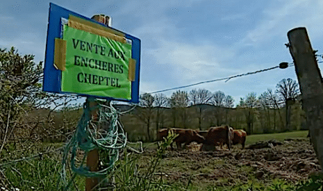 Ferme aux enchères dans la Creuse