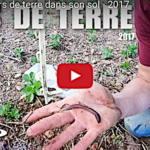 Comment j’effectue le comptage des vers de terre dans mon sol agricole