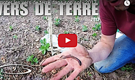 Comment j’effectue le comptage des vers de terre dans mon sol agricole
