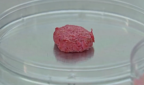 Un mouvement d’initiative citoyenne s’oppose à la viande artificielle