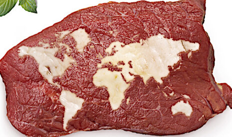 Viande bovine, la France n’aura accès au marché chinois qu’en 2019, au mieux