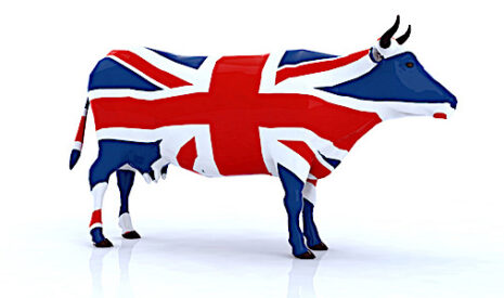 Et si le Brexit était le véritable danger pour la filière bovine européenne ?