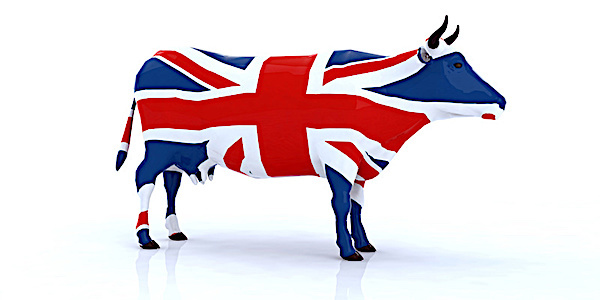 viande bovine brexit