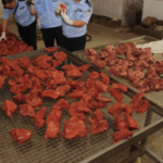 En Chine, saisie de porc traité chimiquement pour simuler du boeuf