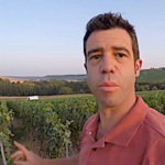 Comment évolue le vignoble de champagne à fin juillet 2019