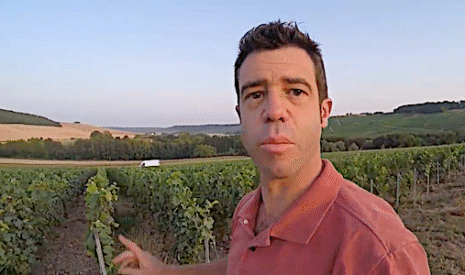 Comment évolue le vignoble de champagne à fin juillet 2019