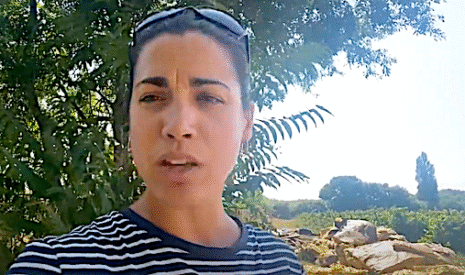 Dépôt d’ordures dans les vignes bio, le coup de gueule d’Emilie