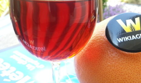 Vins, la foire aux idées neuves