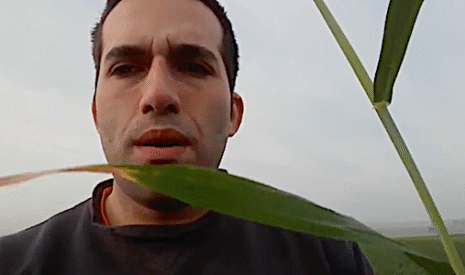 Orge d’hiver, maïs, blé tendre, tournesol… Un tour de plaine en Charente
