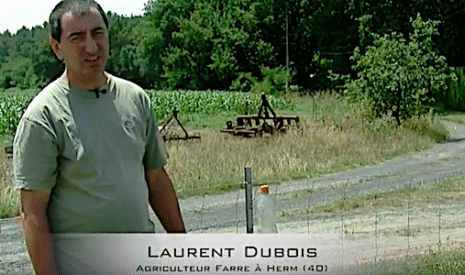 L’astucieux répulsif pour éloigner les sangliers des champs agricoles
