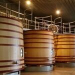 Vin argentin, la dégustation des extrêmes