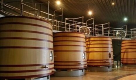 Vin argentin, la dégustation des extrêmes