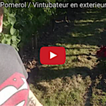 Petite balade à Pomerol
