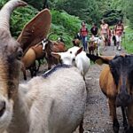 MonBeauTerroir attire de nouveaux visiteurs dans les fermes