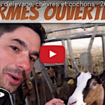Visites dans les fermes, chèvres et fromages, cochons…