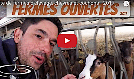 Visites dans les fermes, chèvres et fromages, cochons…